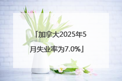 加拿大2025年5月失业率为7.0%