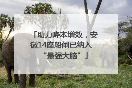 助力降本增效，安徽14座船闸已纳入“最强大脑”