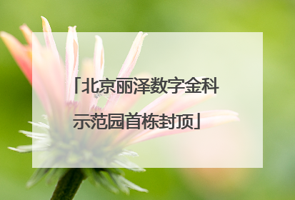 北京丽泽数字金科示范园首栋封顶