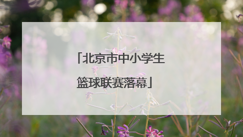 北京市中小学生篮球联赛落幕
