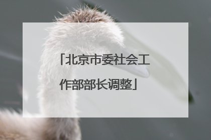 北京市委社会工作部部长调整