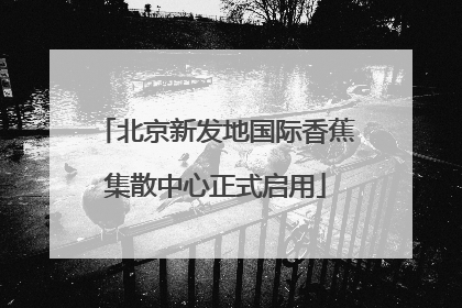 北京新发地国际香蕉集散中心正式启用