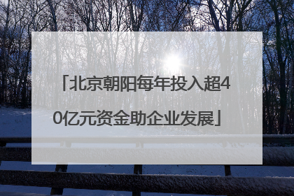 北京朝阳每年投入超40亿元资金助企业发展