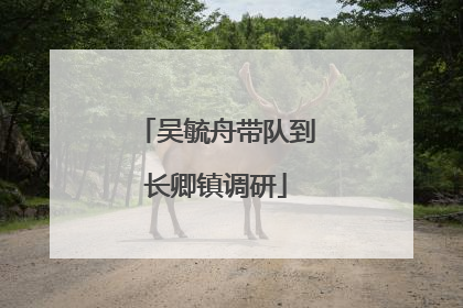 吴毓舟带队到长卿镇调研