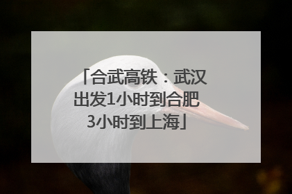合武高铁：武汉出发1小时到合肥3小时到上海