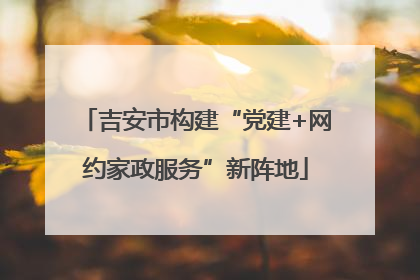 吉安市构建“党建+网约家政服务”新阵地