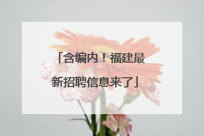 含编内！福建最新招聘信息来了