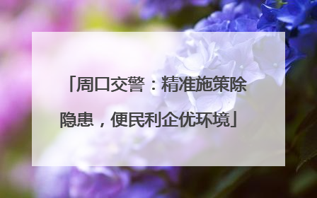 周口交警：精准施策除隐患，便民利企优环境