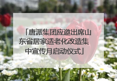 唐派集团应邀出席山东省居家适老化改造集中宣传月启动仪式