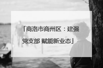 商洛市商州区：建强党支部 赋能新业态