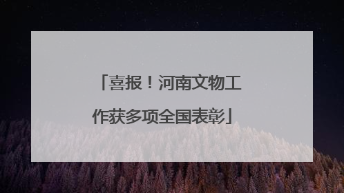 喜报！河南文物工作获多项全国表彰