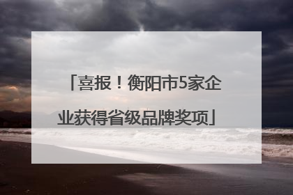 喜报！衡阳市5家企业获得省级品牌奖项