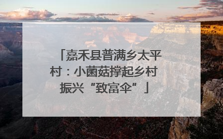 嘉禾县普满乡太平村：小菌菇撑起乡村振兴“致富伞”