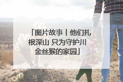 图片故事丨他们扎根深山 只为守护川金丝猴的家园
