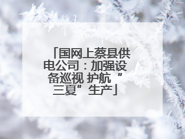 国网上蔡县供电公司：加强设备巡视 护航“三夏”生产