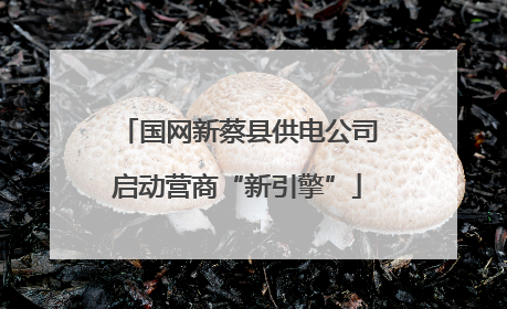 国网新蔡县供电公司启动营商“新引擎”