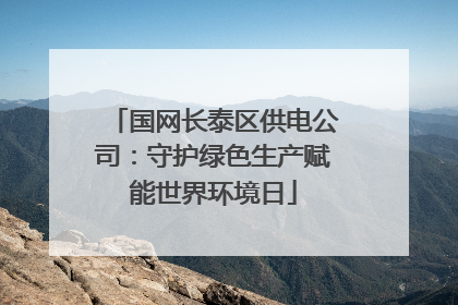 国网长泰区供电公司：守护绿色生产赋能世界环境日