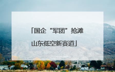 国企“军团”抢滩山东低空新赛道