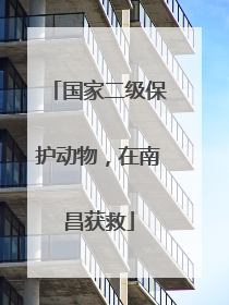 国家二级保护动物，在南昌获救
