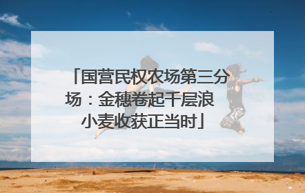 国营民权农场第三分场：金穗卷起千层浪 小麦收获正当时