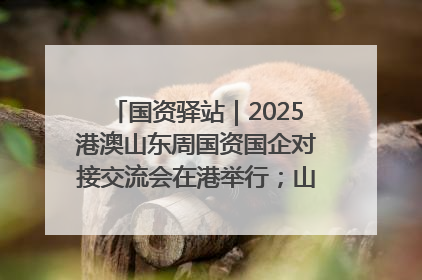 国资驿站｜2025港澳山东周国资国企对接交流会在港举行；山东黄金成功在境外发行3亿美元绿色债券
