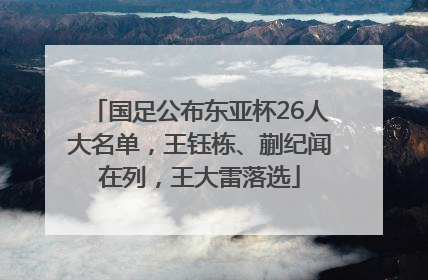 国足公布东亚杯26人大名单，王钰栋、蒯纪闻在列，王大雷落选