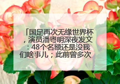 国足再次无缘世界杯，演员潘粤明深夜发文：48个名额还是没我们啥事儿；此前曾多次为国足发声