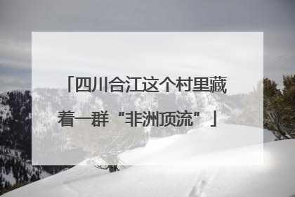 四川合江这个村里藏着一群“非洲顶流”