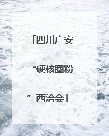 四川广安“硬核圈粉”西洽会