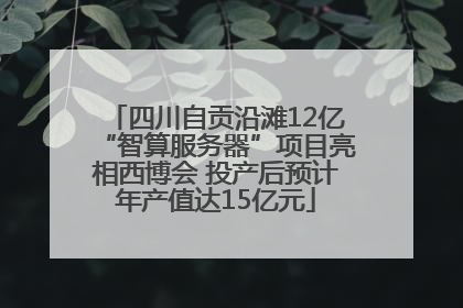 四川自贡沿滩12亿“智算服务器”项目亮相西博会 投产后预计年产值达15亿元