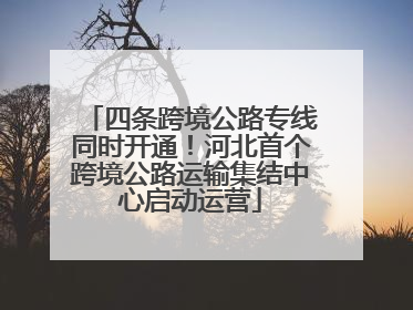 四条跨境公路专线同时开通！河北首个跨境公路运输集结中心启动运营