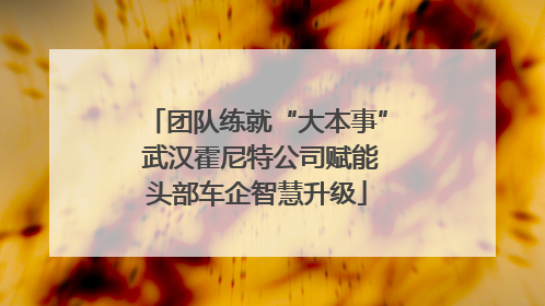 团队练就“大本事” 武汉霍尼特公司赋能头部车企智慧升级