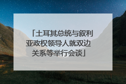 土耳其总统与叙利亚政权领导人就双边关系等举行会谈