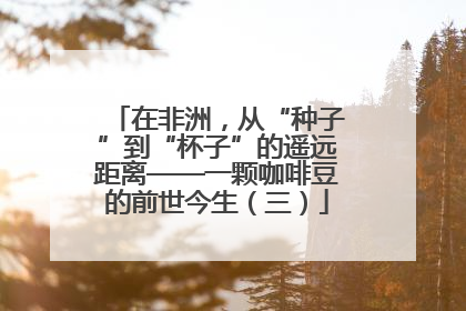 在非洲，从“种子”到“杯子”的遥远距离——一颗咖啡豆的前世今生（三）