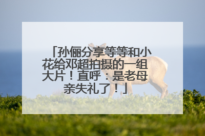 孙俪分享等等和小花给邓超拍摄的一组大片！直呼：是老母亲失礼了！