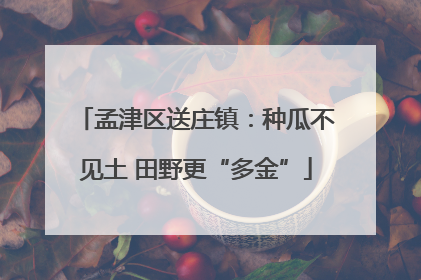 孟津区送庄镇：种瓜不见土 田野更“多金”