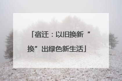 宿迁：以旧换新“换”出绿色新生活