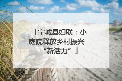 宁城县妇联：小庭院释放乡村振兴“新活力”