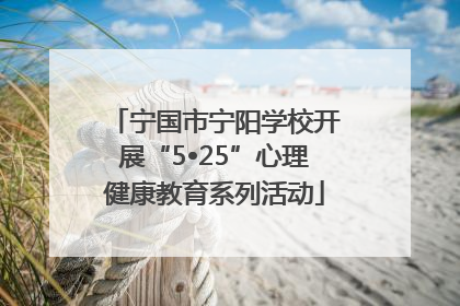 宁国市宁阳学校开展“5•25”心理健康教育系列活动