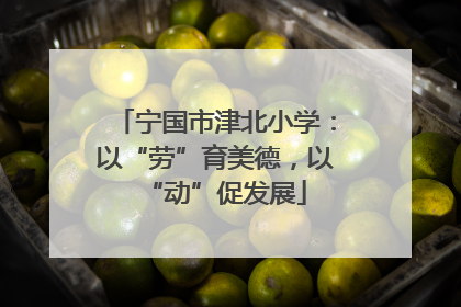 宁国市津北小学：以“劳”育美德，以“动”促发展