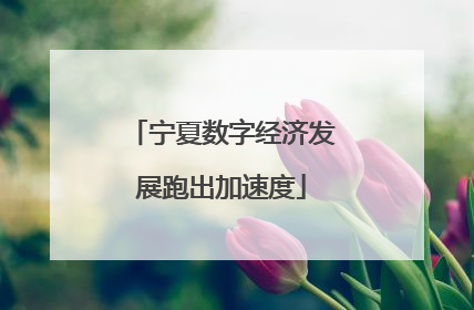 宁夏数字经济发展跑出加速度