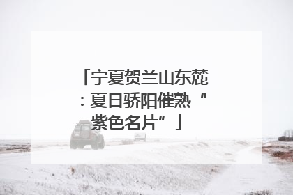 宁夏贺兰山东麓：夏日骄阳催熟“紫色名片”