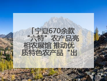 宁夏670余款“六特”农产品亮相农展馆 推动优质特色农产品“出宁进京”