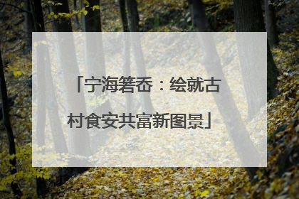 宁海箬岙：绘就古村食安共富新图景