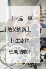 宁远：早熟黄桃新上市 生态种植助增收