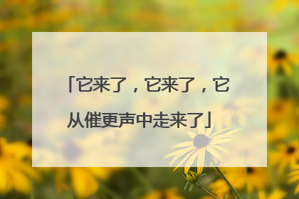 它来了，它来了，它从催更声中走来了