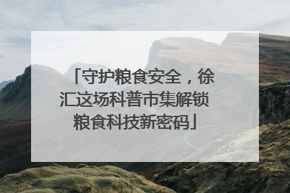 守护粮食安全，徐汇这场科普市集解锁粮食科技新密码
