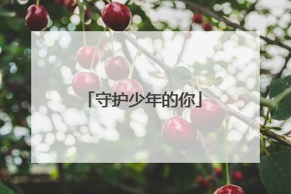 守护少年的你