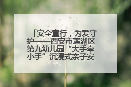 安全童行，为爱守护——西安市莲湖区第九幼儿园“大手牵小手”沉浸式亲子安全体验活动