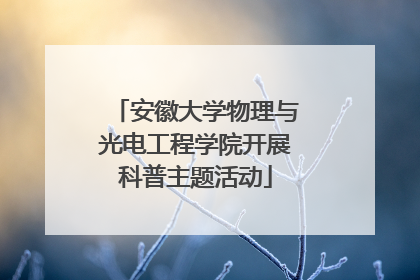 安徽大学物理与光电工程学院开展科普主题活动